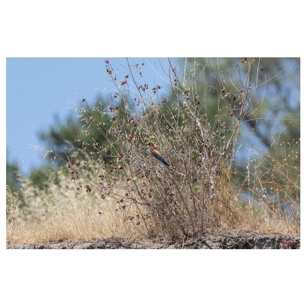 PHOTO84, CLUB, 84 , LUBERON